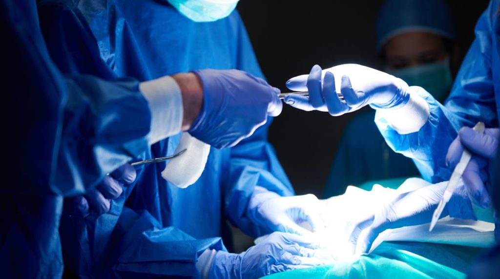 Día Mundial de los Pacientes Trasplantados